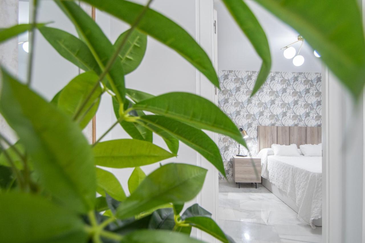 Apartamento La Magnolia De กาดิซ ภายนอก รูปภาพ